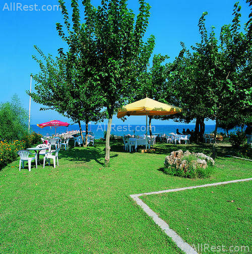 Golden Sun Hotel 10